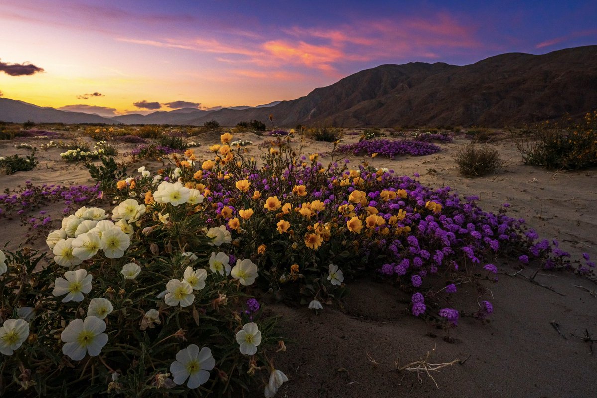 Jeff Boyce tweet media