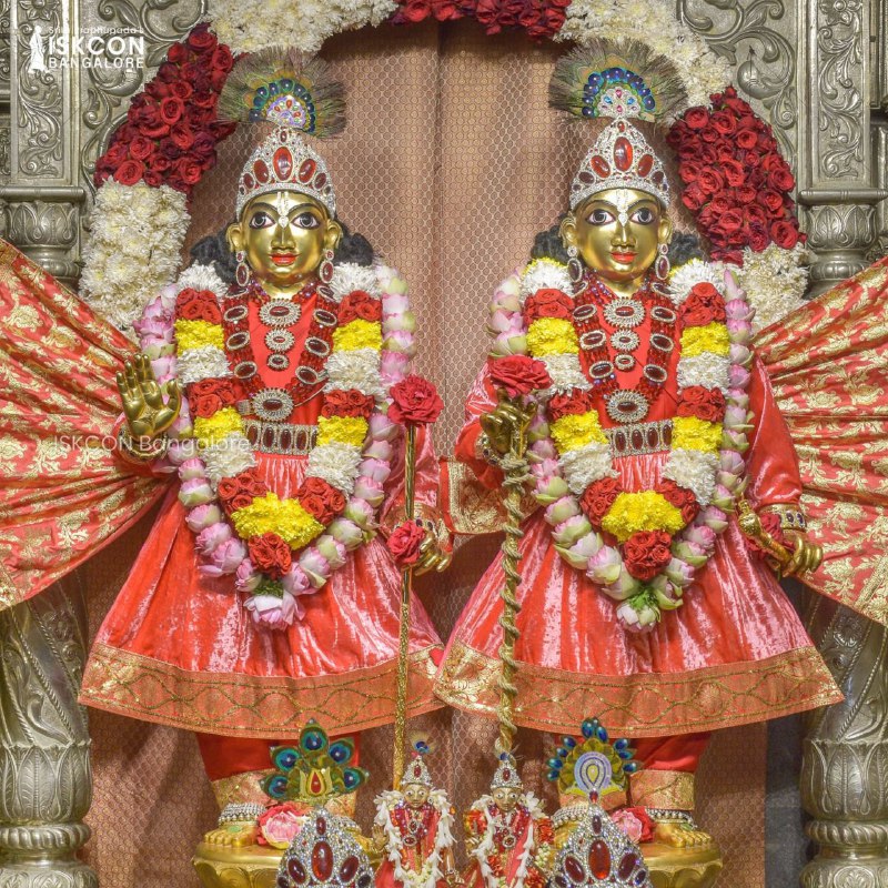 ISKCONBangalore's tweet photo. Daily darshan from ISKCON Bangalore temple - March 5, 2023.

#iskconbangalore #ISKCON #iskcontemple #Darshan #Krishna #radhakrishna #srilaprabhupada #harekrishna #sundayvibes    #Bangalore #Bengaluru  #NammaBengaluru https://t.co/IXfysMNSFi