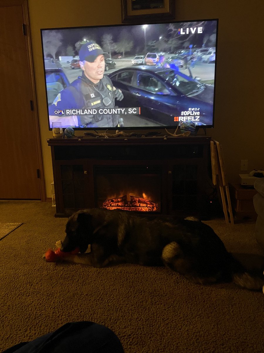 Kristalswint22's tweet photo. #OPLive #OPLiveNation #OnPatrolLive #ReelzChannel ZIEK AKA: MOOT! IS MY WATCHING BUDDY TONIGHT! https://t.co/X0t7bZBtN0