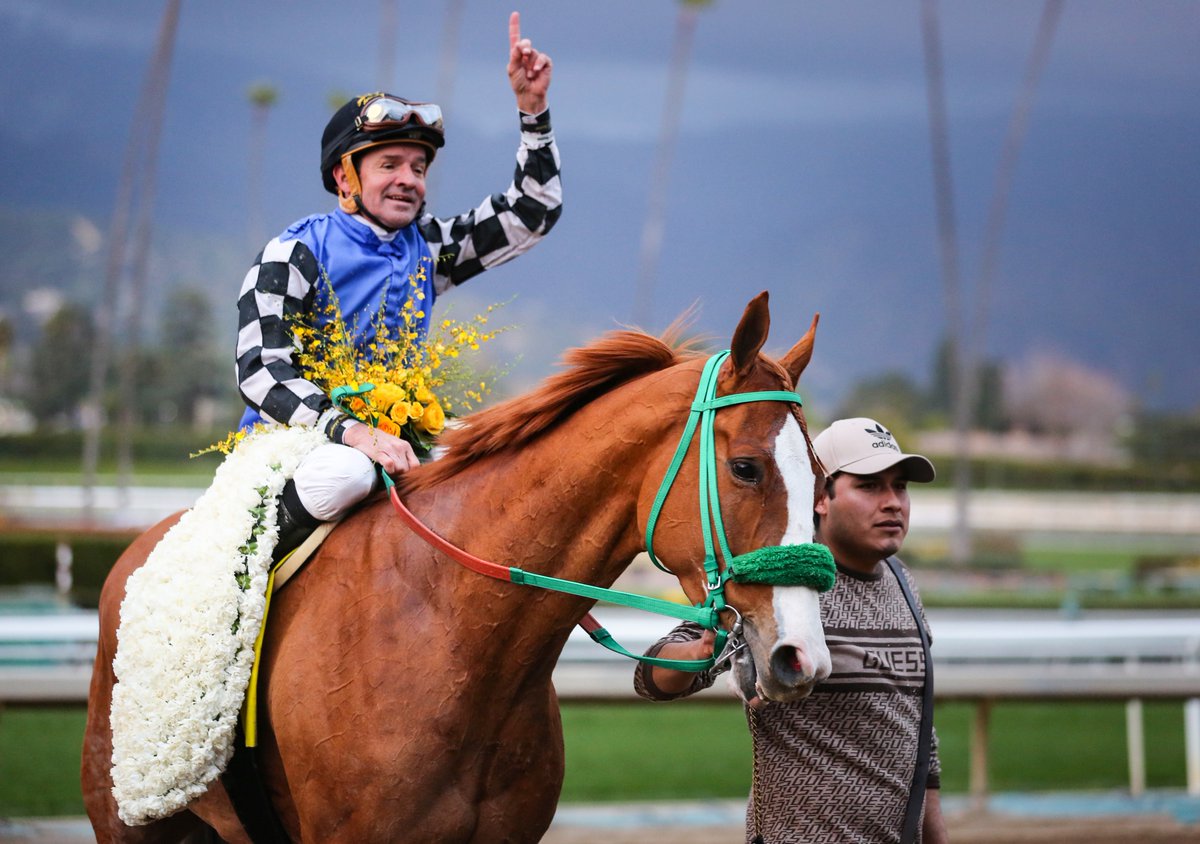 Stilleto Boy, you are one cool dude... ☝️😍