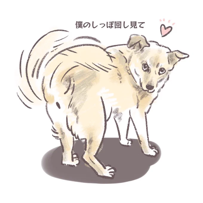 上目遣いが可愛い 