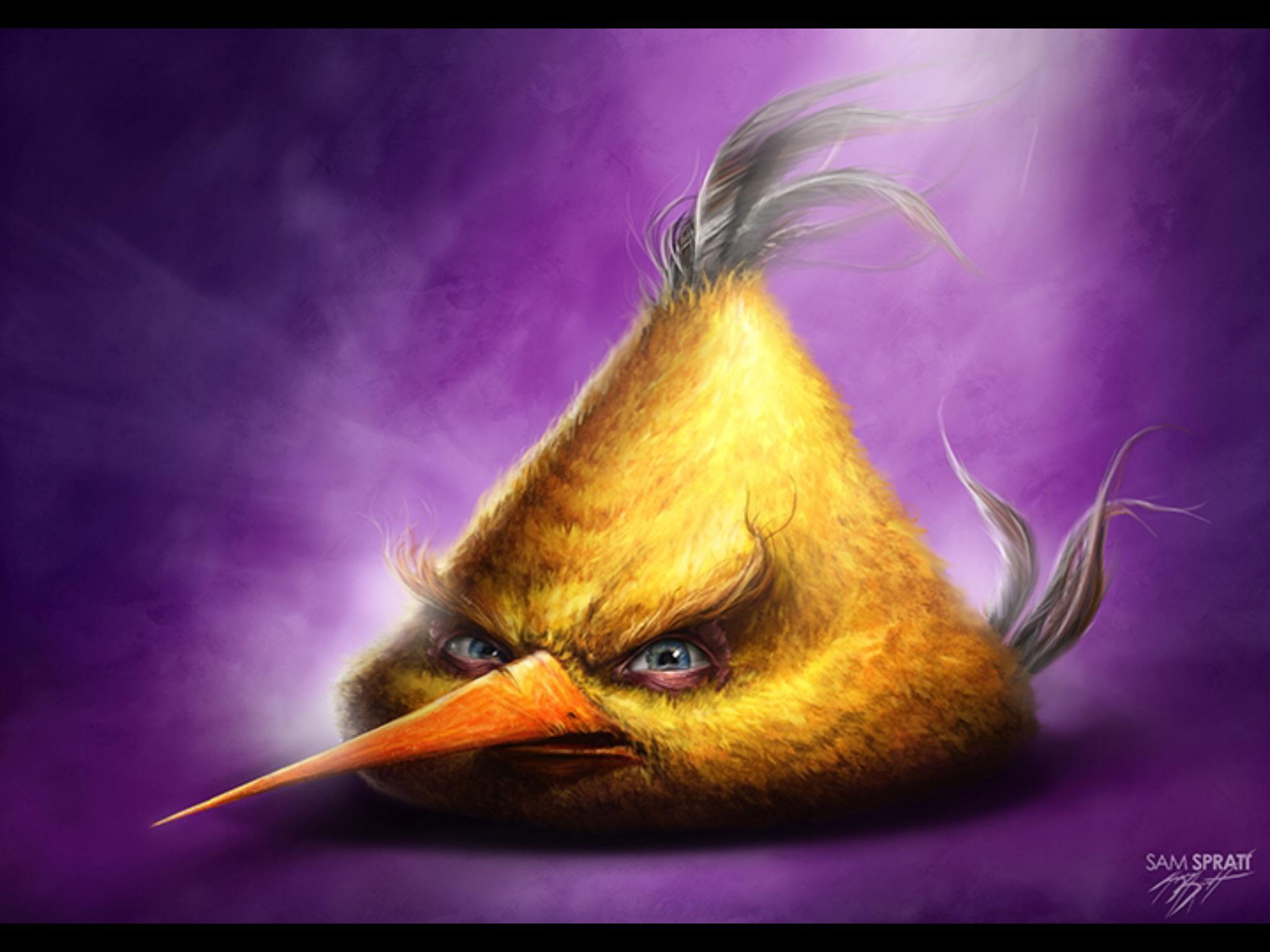 Sam Spratt realistic Angry Birds