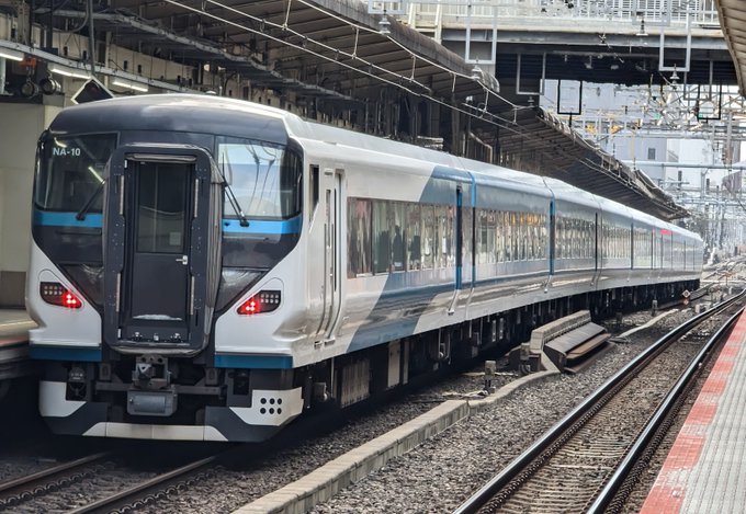 何かが足りないE257系 