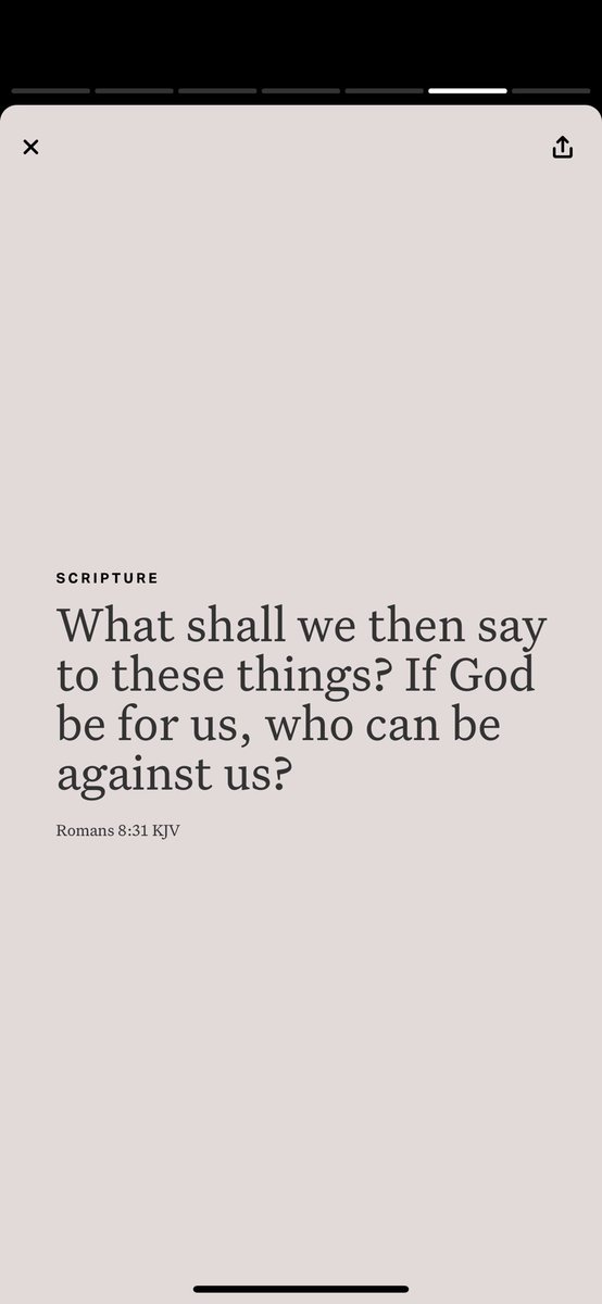 ✨Highly Favored ✨ tweet media