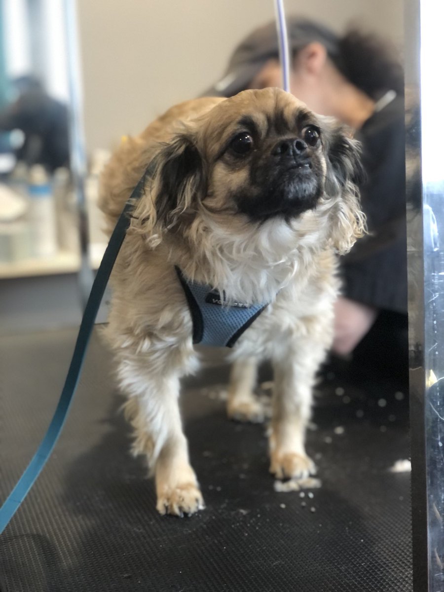 MadisonPezza's tweet image. Love my job