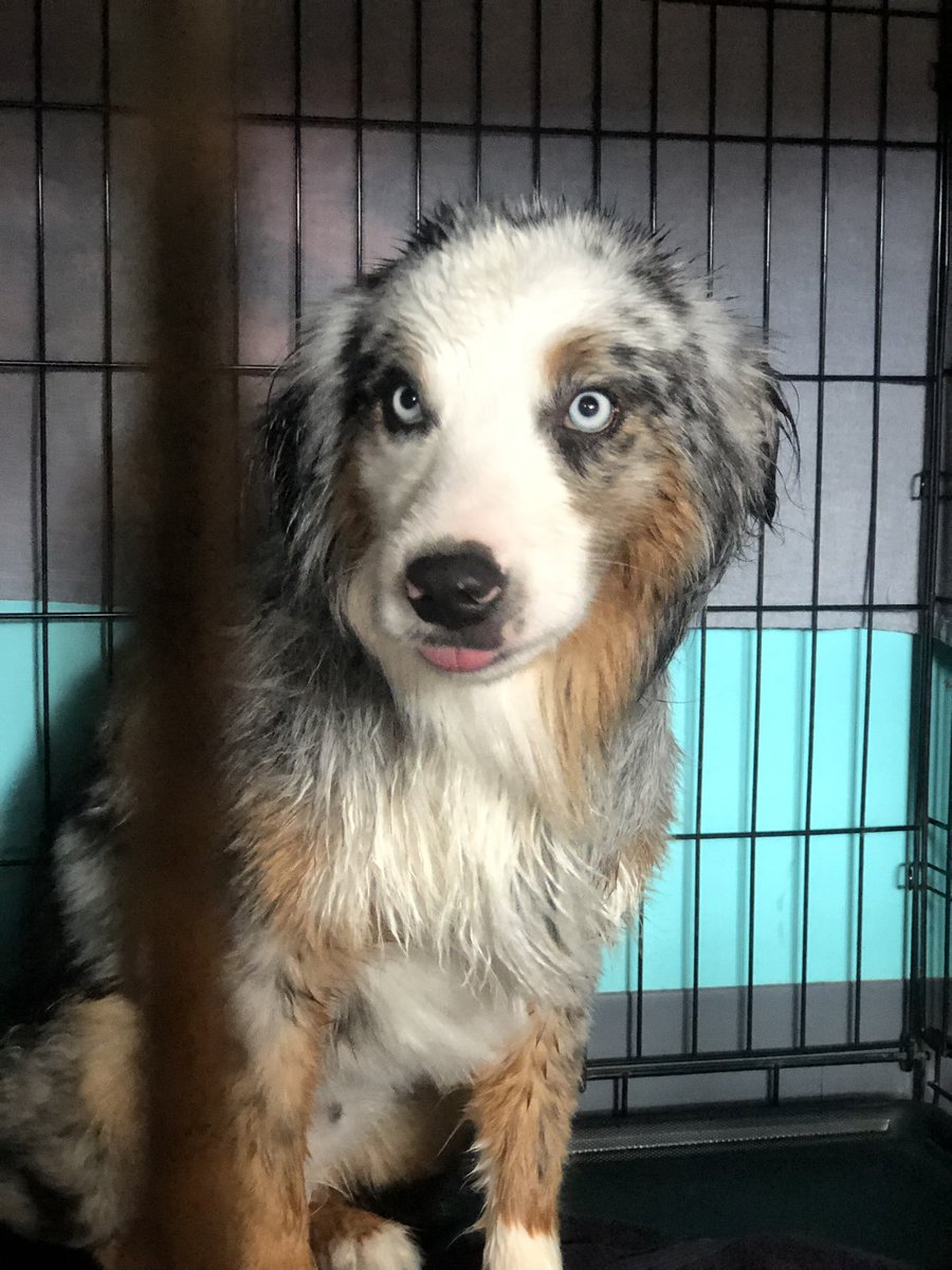 MadisonPezza's tweet image. Love my job