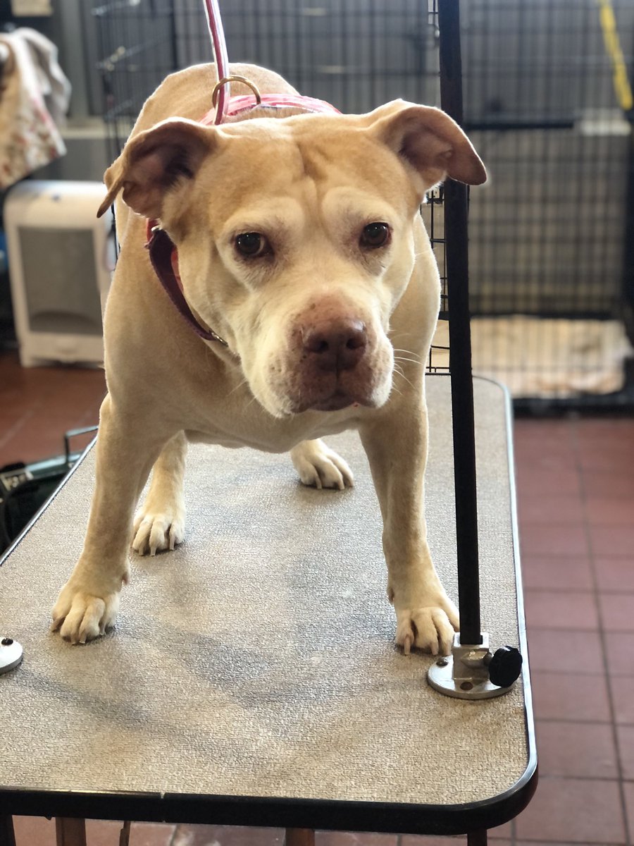 MadisonPezza's tweet image. Love my job