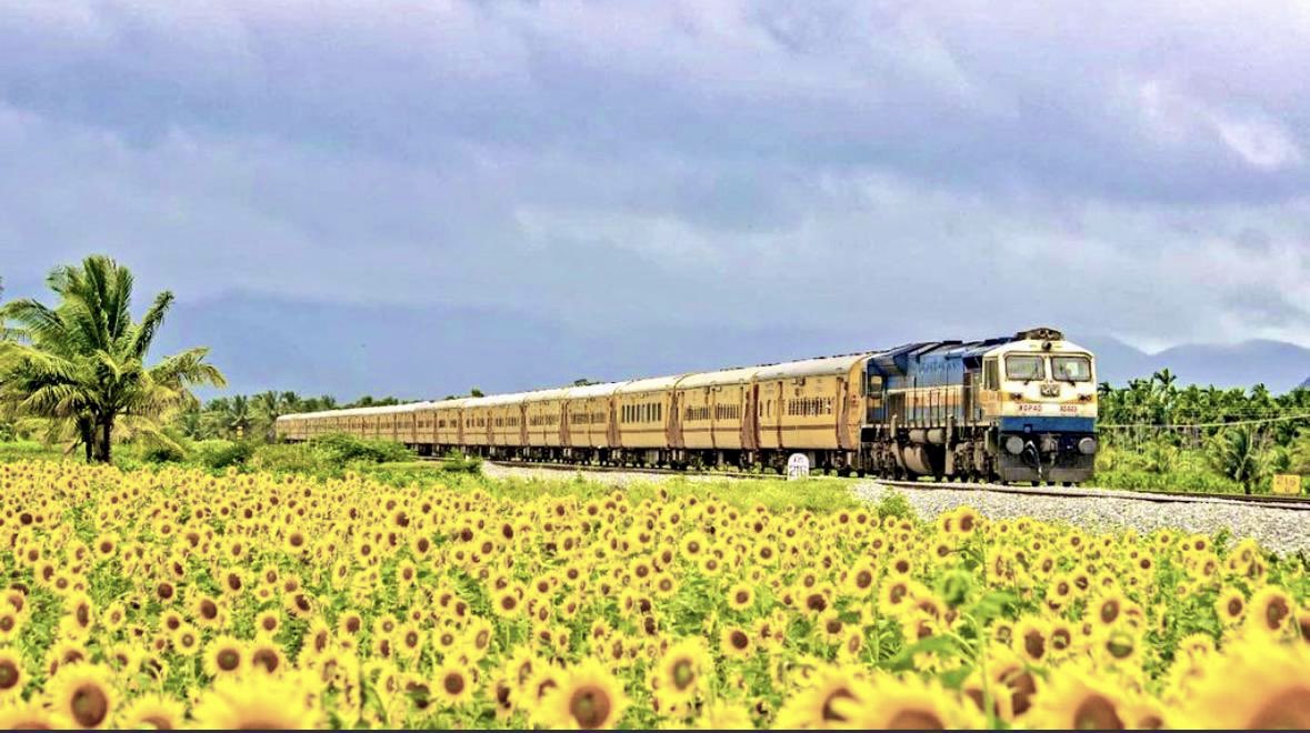 Whistling through the lovely 🌻 fields!

📍near Birur railway station