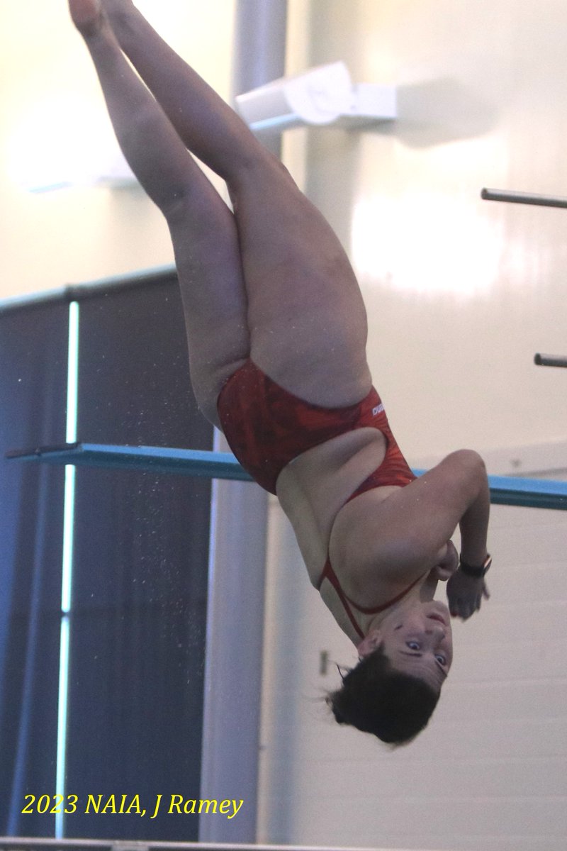 jramey6's tweet image. Inverted in the air, @UC_Patriots diver Emma Lehmkuhl is named the #NAIADiving Female Diver of the Year.  @UCPatriots_Swim