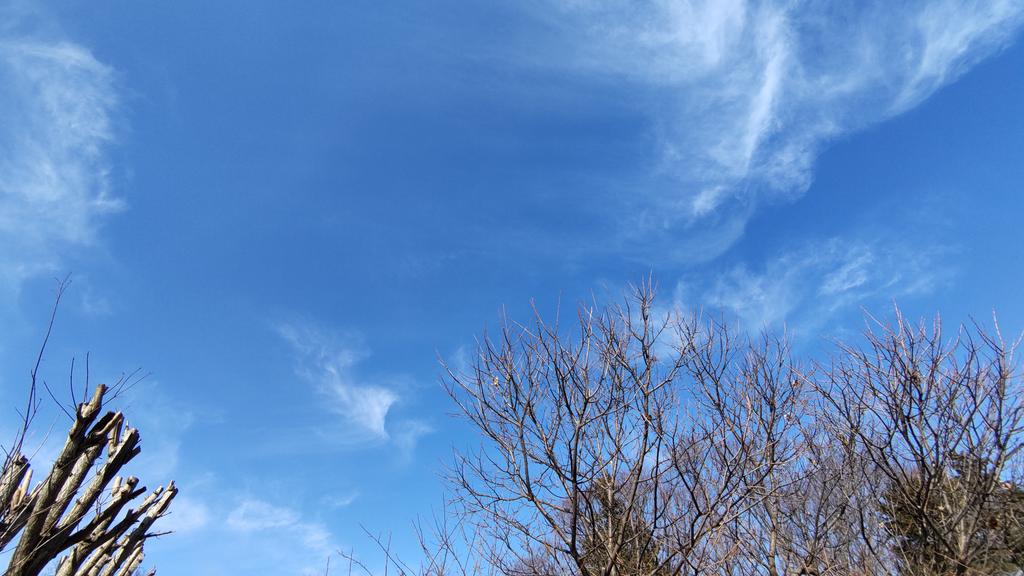 土曜日は1週間使った枠の掃除をする日
ピカピカにして月曜日から気持ちよく仕事できるように頑張りました!
天気もよく速く乾きそうです。
before(1枚目)after(2枚目)