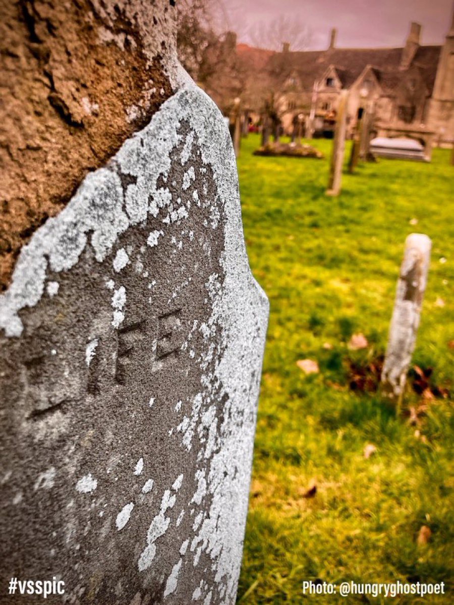 Story coming to a close
End of days draw close

I look at tombstone
Etched in stone

They talk of life & the goodness
No one remembers, a few bad deeds.

Live life to the fullest,
The end may come, any day, anytime

Don't wait for life
Live it everyday.

#fastprompt 79:5 #vsspic