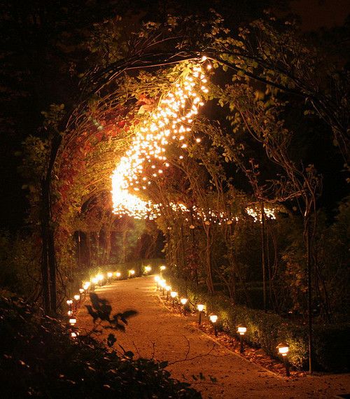 samsaracorp's tweet photo. Lighted Path, Brodsworth, England #LightedPath #Brodsworth #England https://t.co/O07M9fjlHG https://t.co/U6byrGvlzT