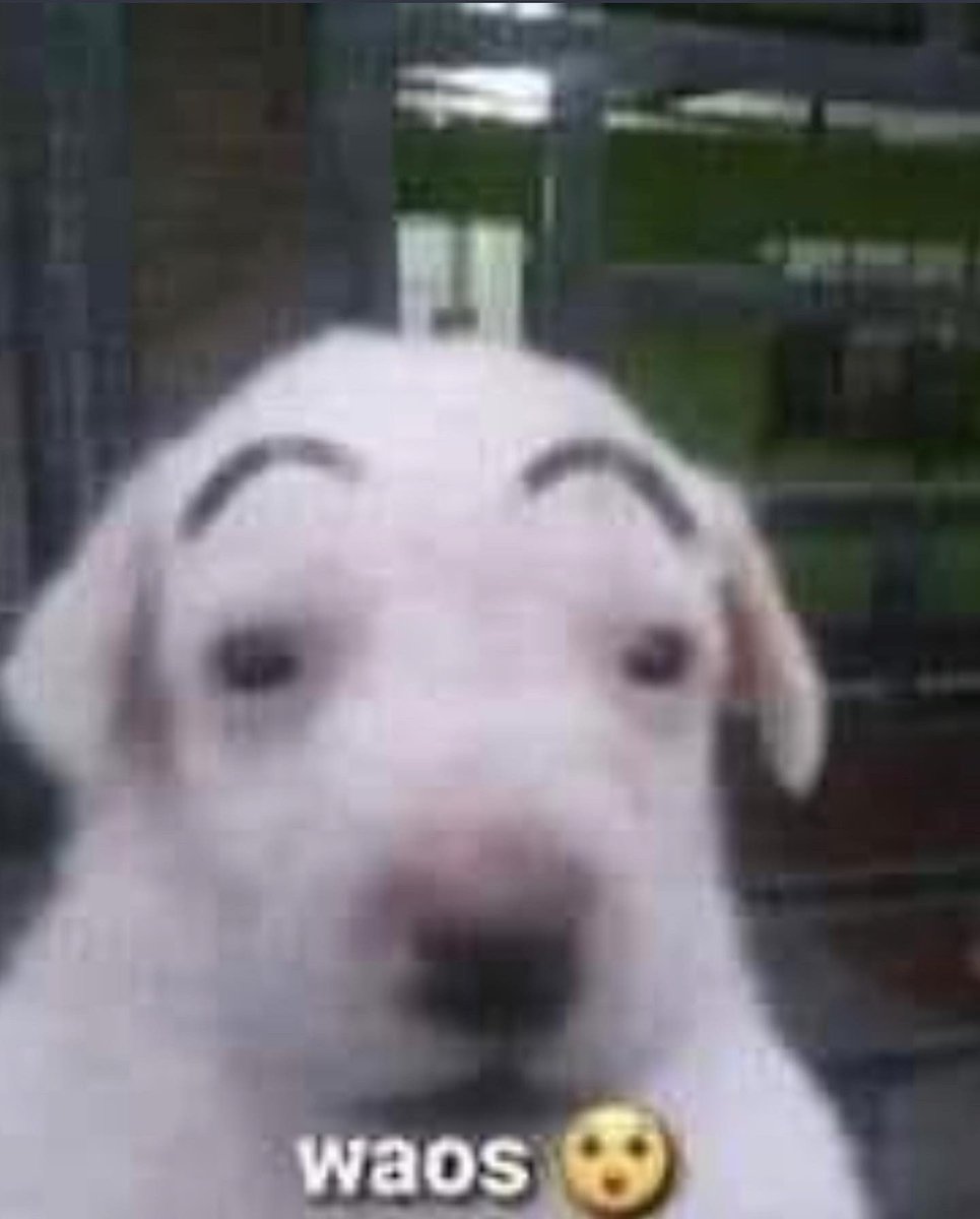 azura. (@vallitewaves) on Twitter photo 