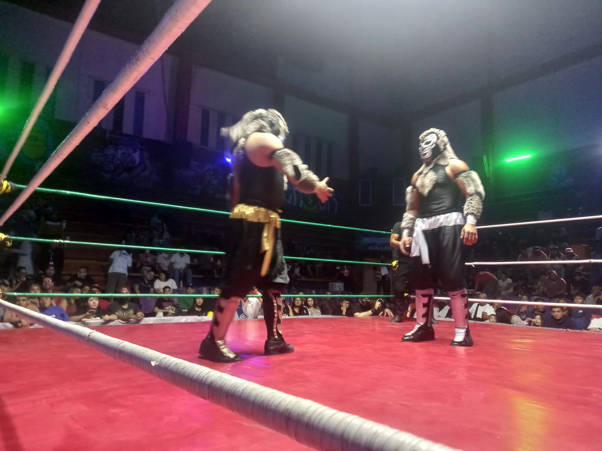 LaTijeraLucha's tweet image. En lucha en relevos increíbles #MiniAlebrije y #LobitoII se logran llevar la victoria sobre #PiratitaMorgan y #LobitoI, cuando este último le dio un sillazo al que por esta noche fue su compañero, sin embargo al final hay un descontrol por parte del pequeñito con el parche...