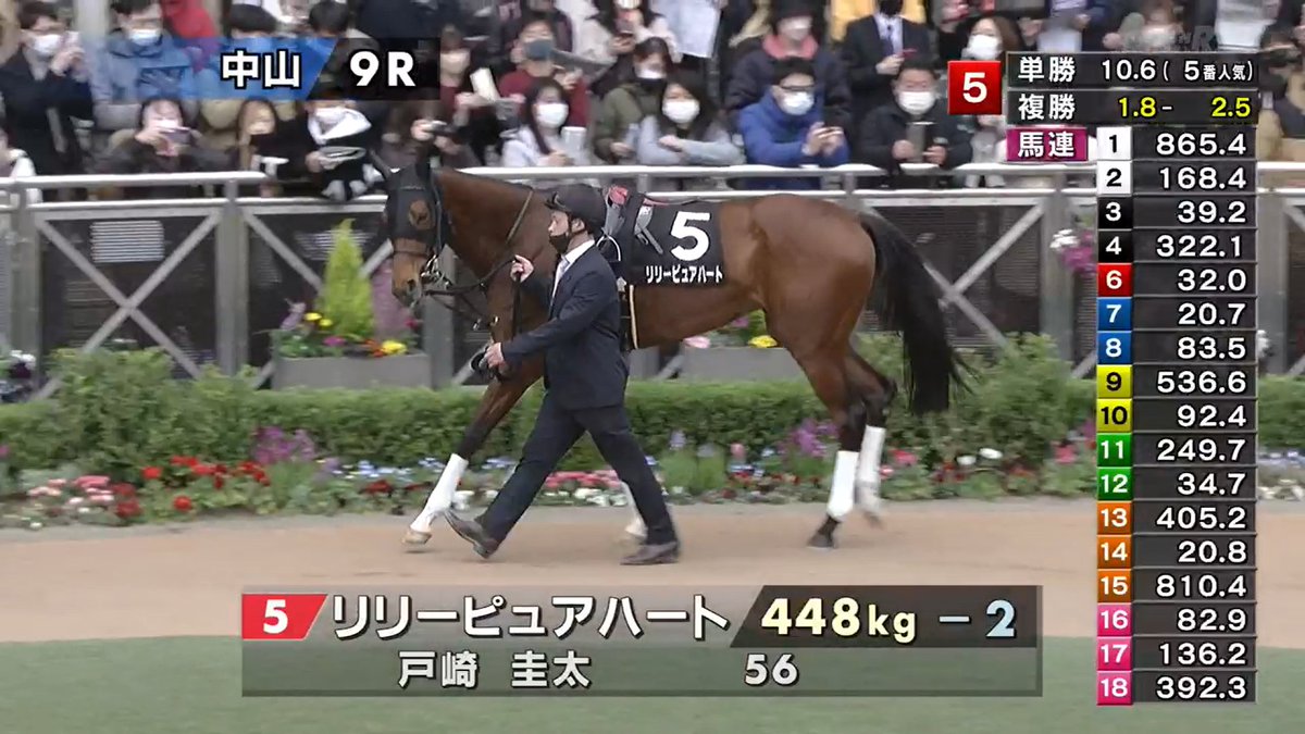 もちろんリリーピュアハートの単複から。
ドンナセレーノの複勝も抑えてスタートです。