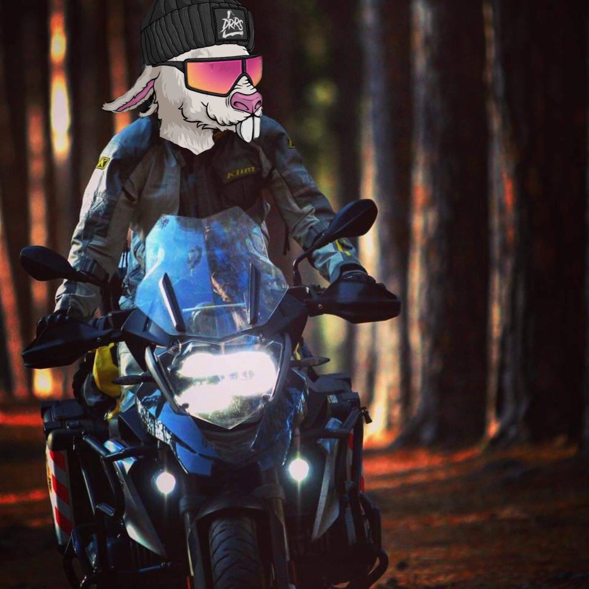 Ride me to the Moon …

@DeadRabbitRS #RidingSunday

#DRRS #Deadrabbits #Molewars #YearOfTheRabbit 
#CARDANO #ADA #SOL #ETH #POLYGON #NFT #CNFT 
#NFTCommunity #CNFTCommunity #KLIM #R1200GS 
#BMWMotorrad