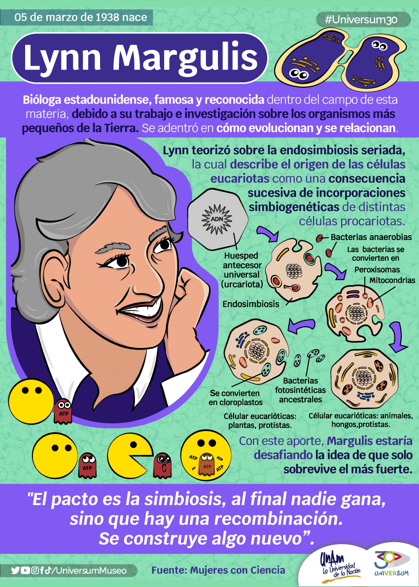 Universum Museo tweet media