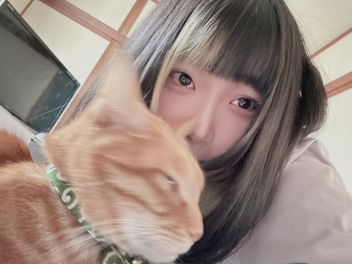 マキシマムザゆずちゃん(かみのゆず)