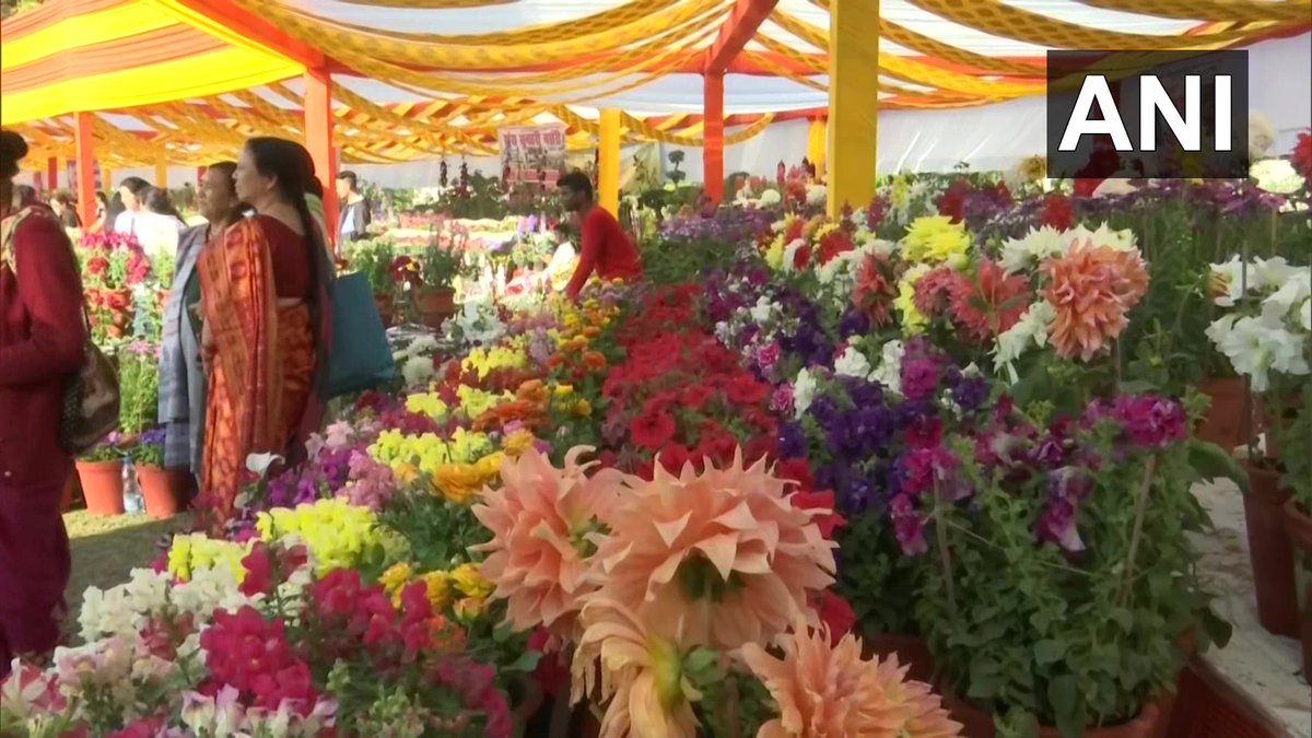 ANI UP/Uttarakhand on Twitter "Uttarakhand 'Vasantotsav 2023' flower