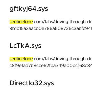 The Haag™ tweet media