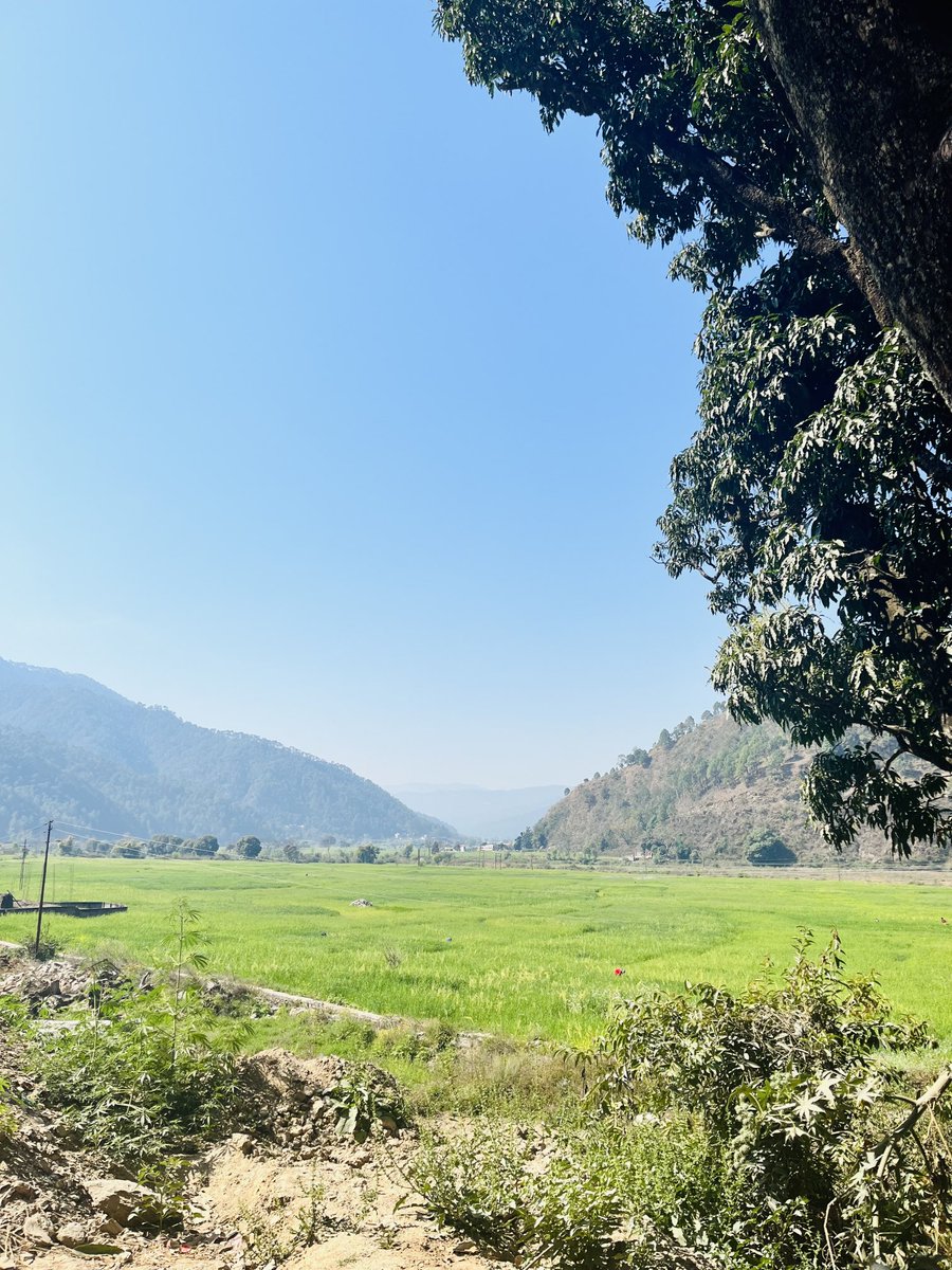 Chilling in Almora (Uttarakhand) 🥶