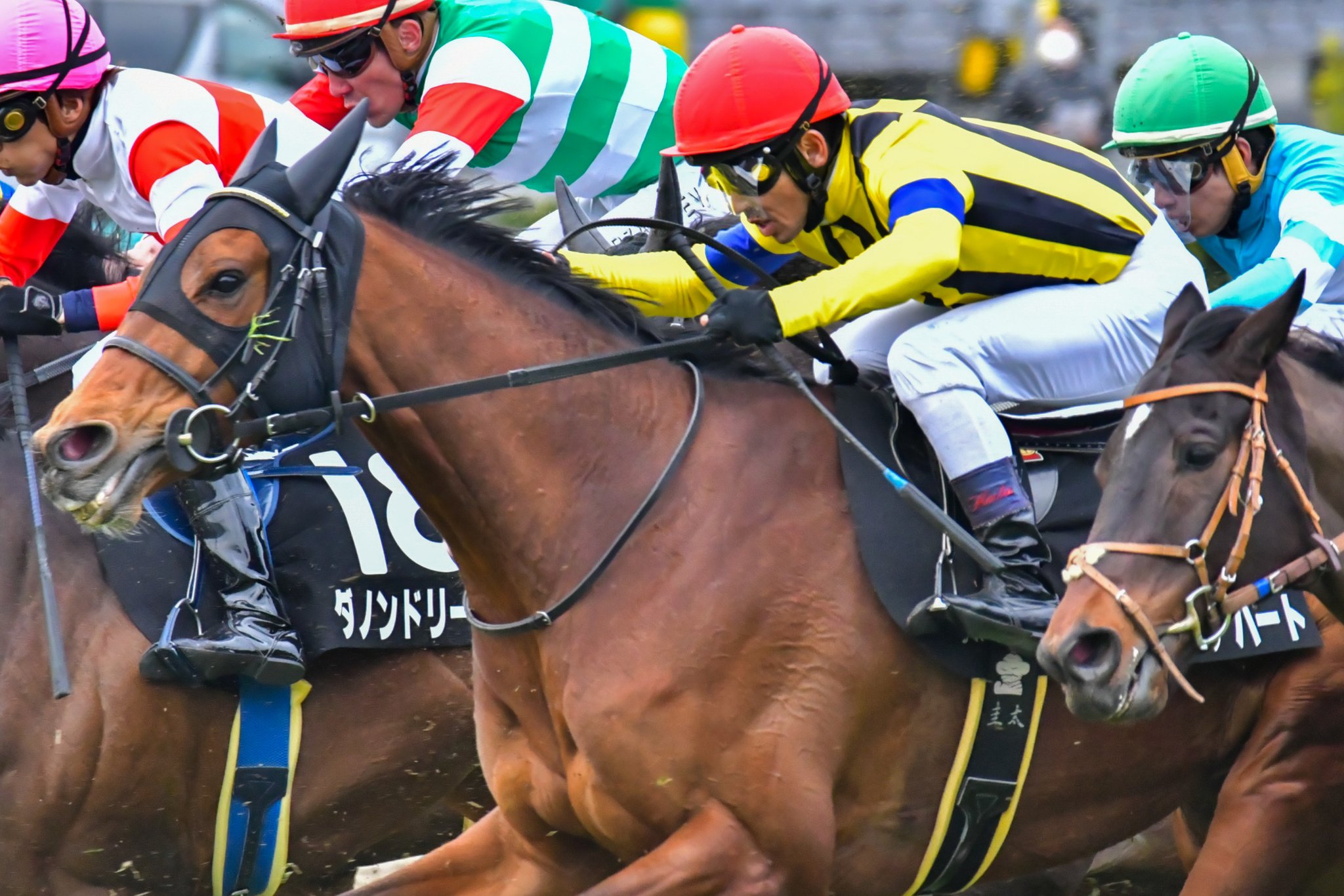 JRA全場コンプリートセット ご当地アクリルキーホルダー おがわじゅり JRA競馬グッズ おがわじゅり ご当地キーホルダー10種類セット