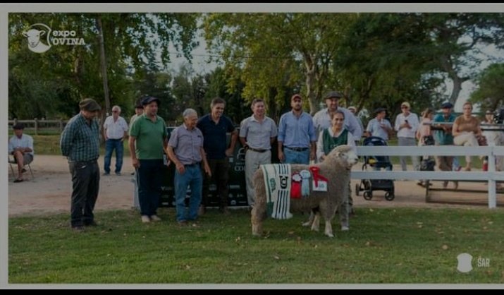 Expo Nacional  Corriedale, Rocha.
Gran campeón PO.
Mejor conformación 
Mejor cabeza
<a href="/corriedaleuy/">Corriedale Uruguay</a> <a href="/07Agu21/">Agustin Menendez</a> <a href="/ValeMenendez98/">Valentina Menéndez Elizalde</a>