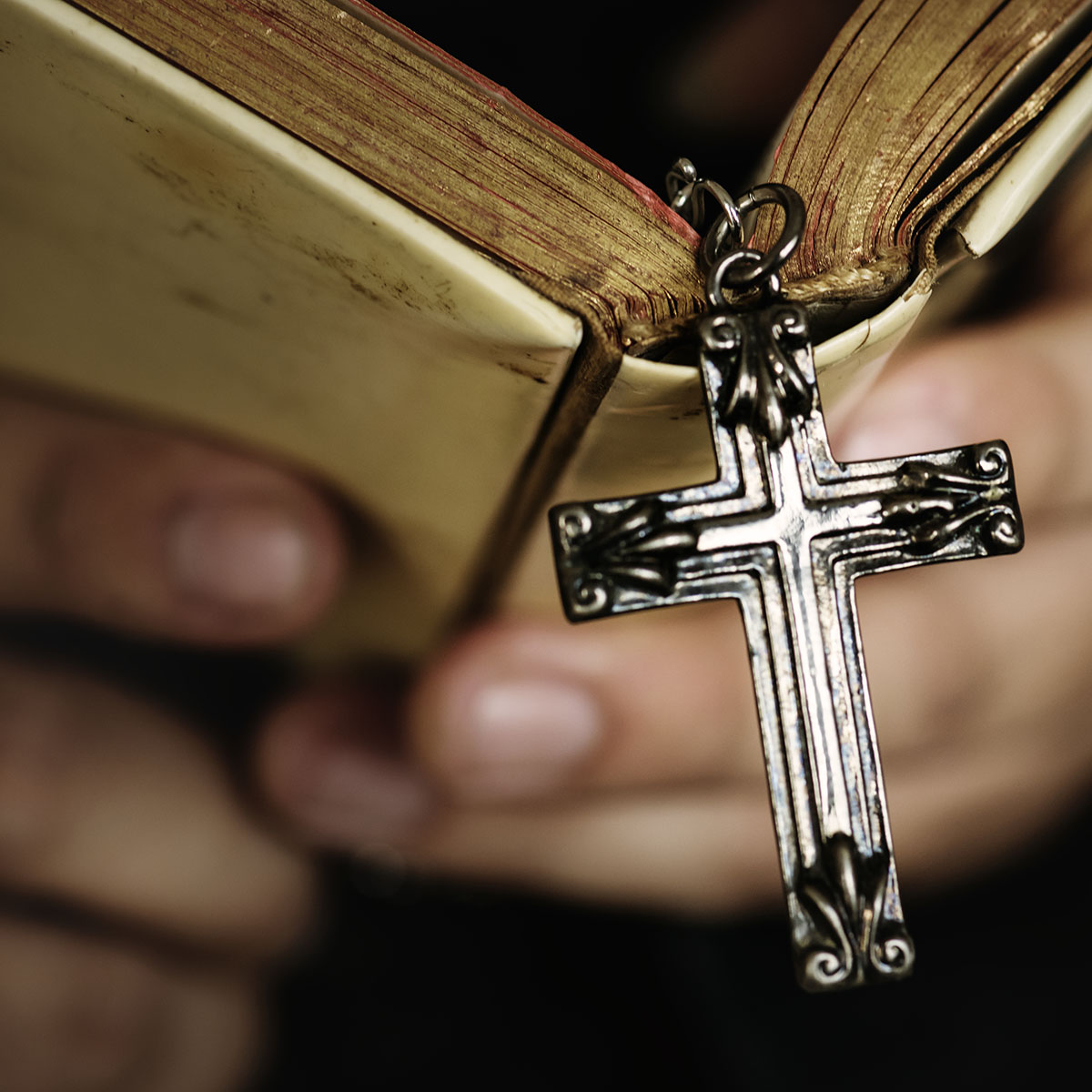 epiphanythelord's tweet photo. Readings for Sunday, March 5, 2023
Genesis 12:1-4
Psalms 33:4-5, 18-19, 20, 22
Second Timothy 1:8-10
Matthew 17:1-9
#OrdinaryTime #Genesis #Psalms33 #SecondTimothy #GospelofMatthew #epiphanyokc https://t.co/cQAuS2DBJo