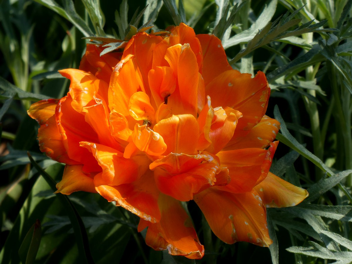 Meine Güte ... ich trödel hier rum .... bye und schönen Sonntag 😂🌞😂