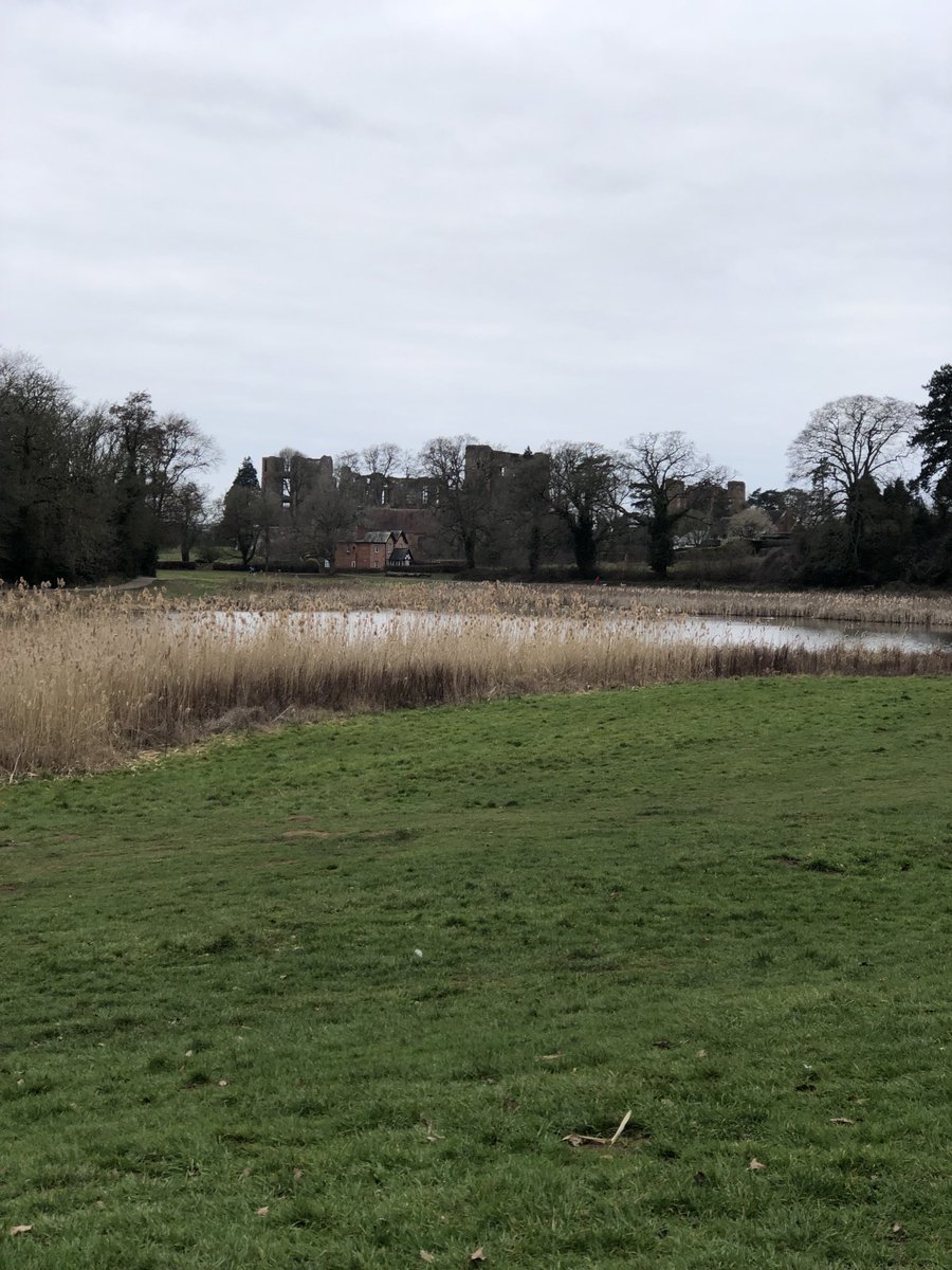 Nice walk this morning