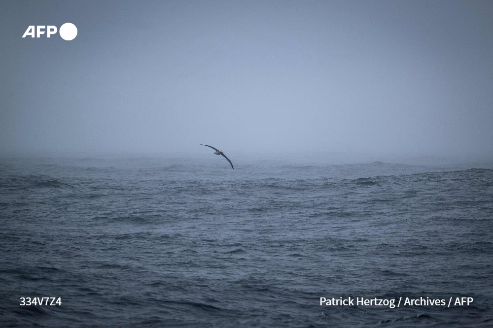 Agence France-Presse tweet media