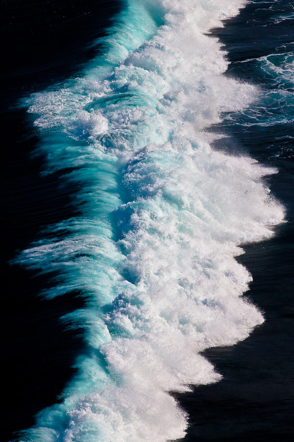 Archillect (@archillect) on Twitter photo 