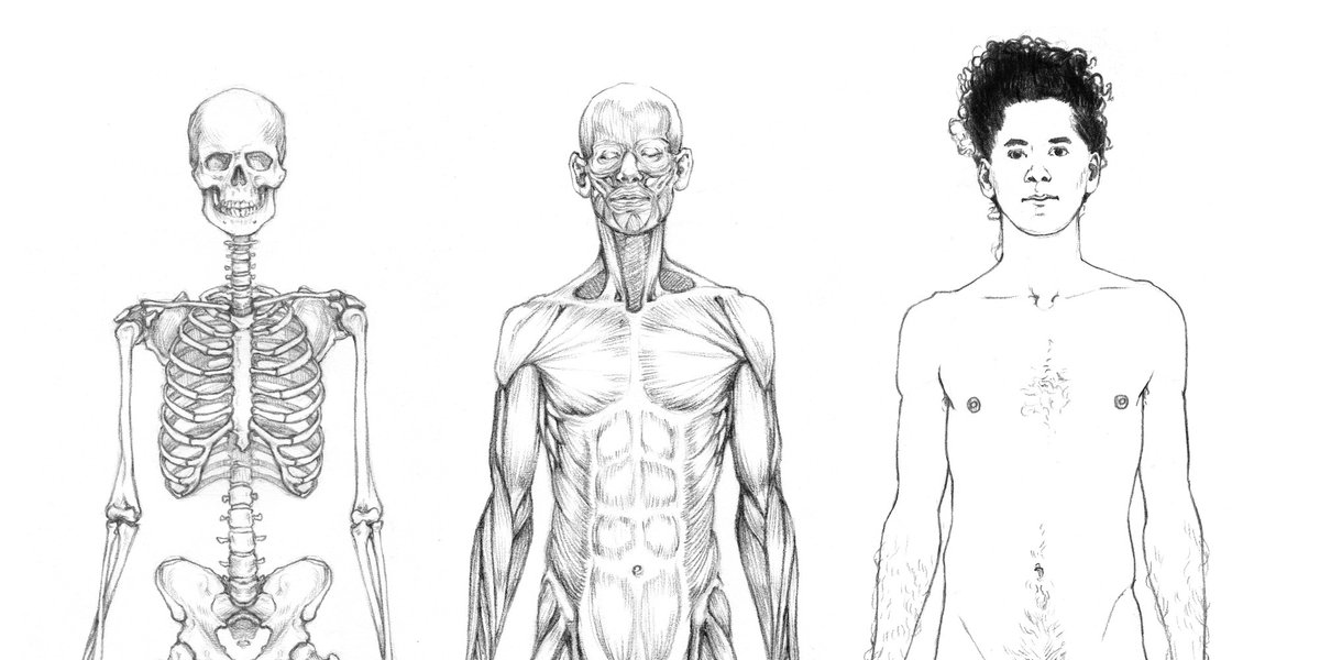 It's @JakeSpicerArt's tutored life drawing workshop next weekend! In this workshop, Jake will be introducing you to the fundamental shapes that make up the human body.

Weekend of 11-12 March, in-person at the Draw Studio in Brighton: ow.ly/gBRq50KK9RU