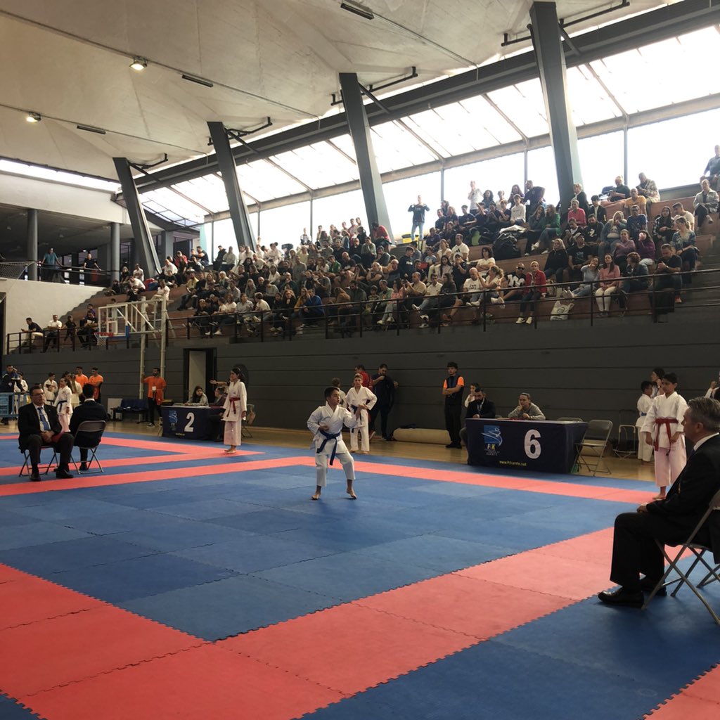 Fede Canaria Karate tweet media