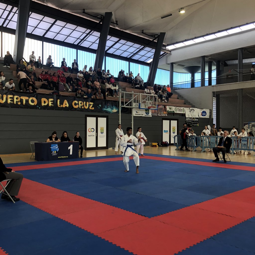 Fede Canaria Karate tweet media