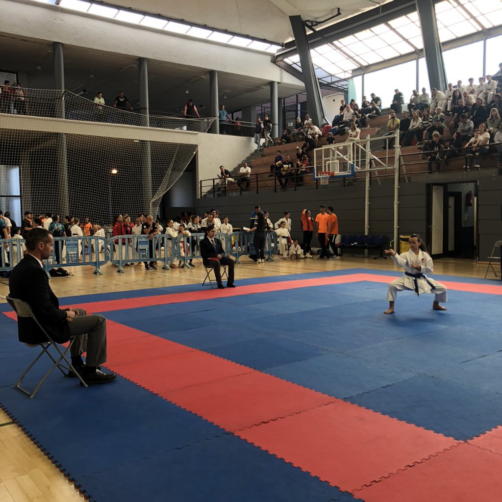 Fede Canaria Karate tweet media