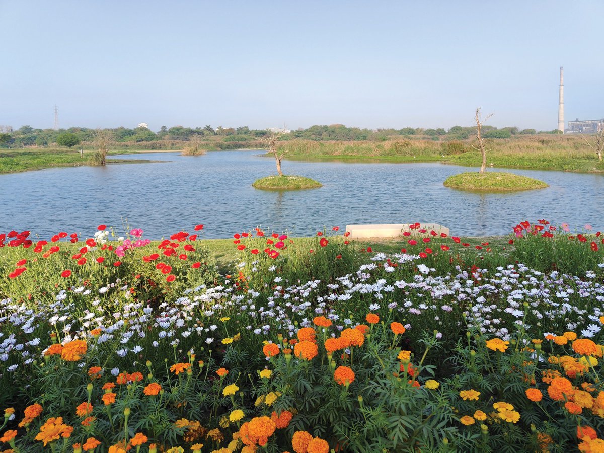 LG Delhi tweet media