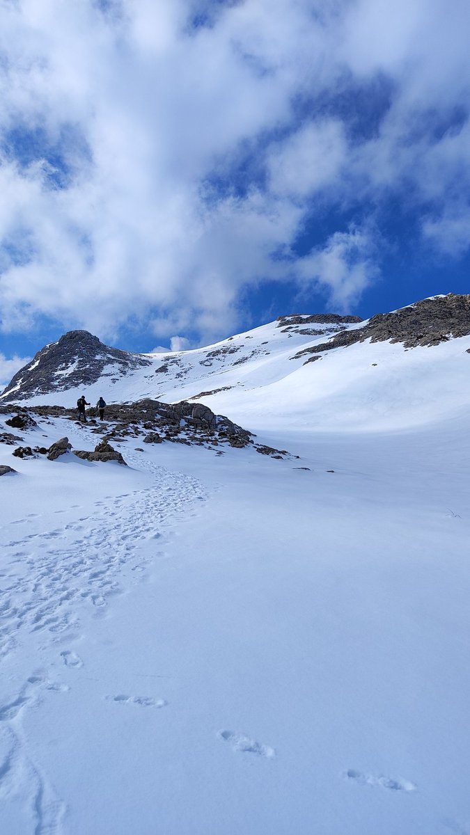 Daniel Garau Conde tweet media