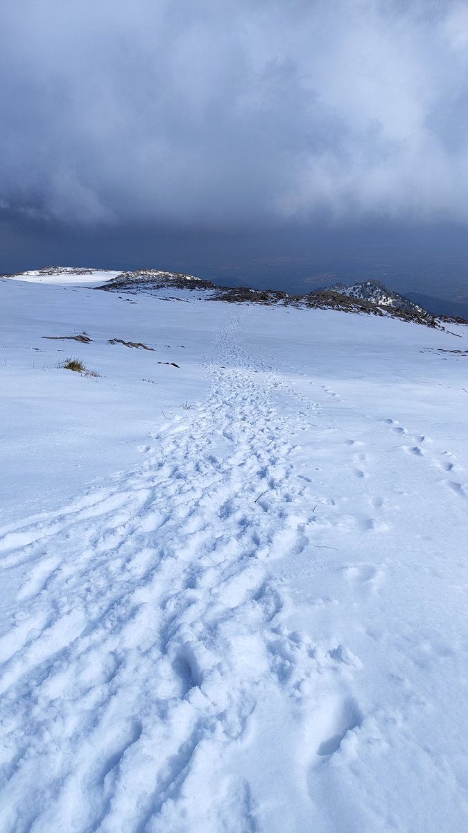 Daniel Garau Conde tweet media