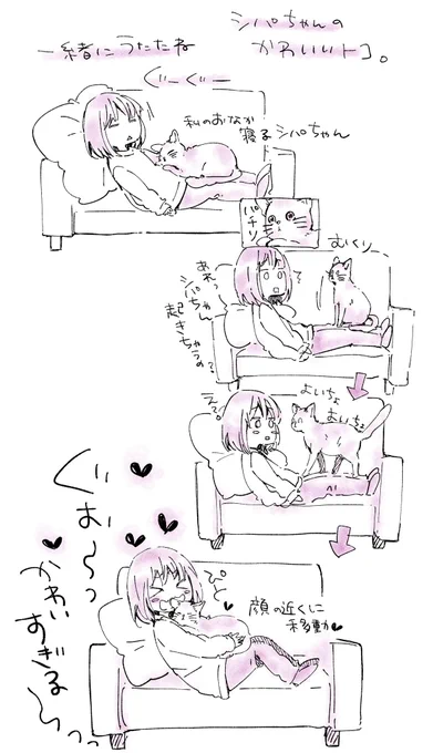 シパちゃん日記 