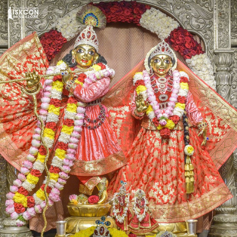 ISKCONBangalore's tweet photo. Daily darshan from ISKCON Bangalore temple - March 5, 2023.

#iskconbangalore #ISKCON #iskcontemple #Darshan #Krishna #radhakrishna #srilaprabhupada #harekrishna #sundayvibes    #Bangalore #Bengaluru  #NammaBengaluru https://t.co/IXfysMNSFi