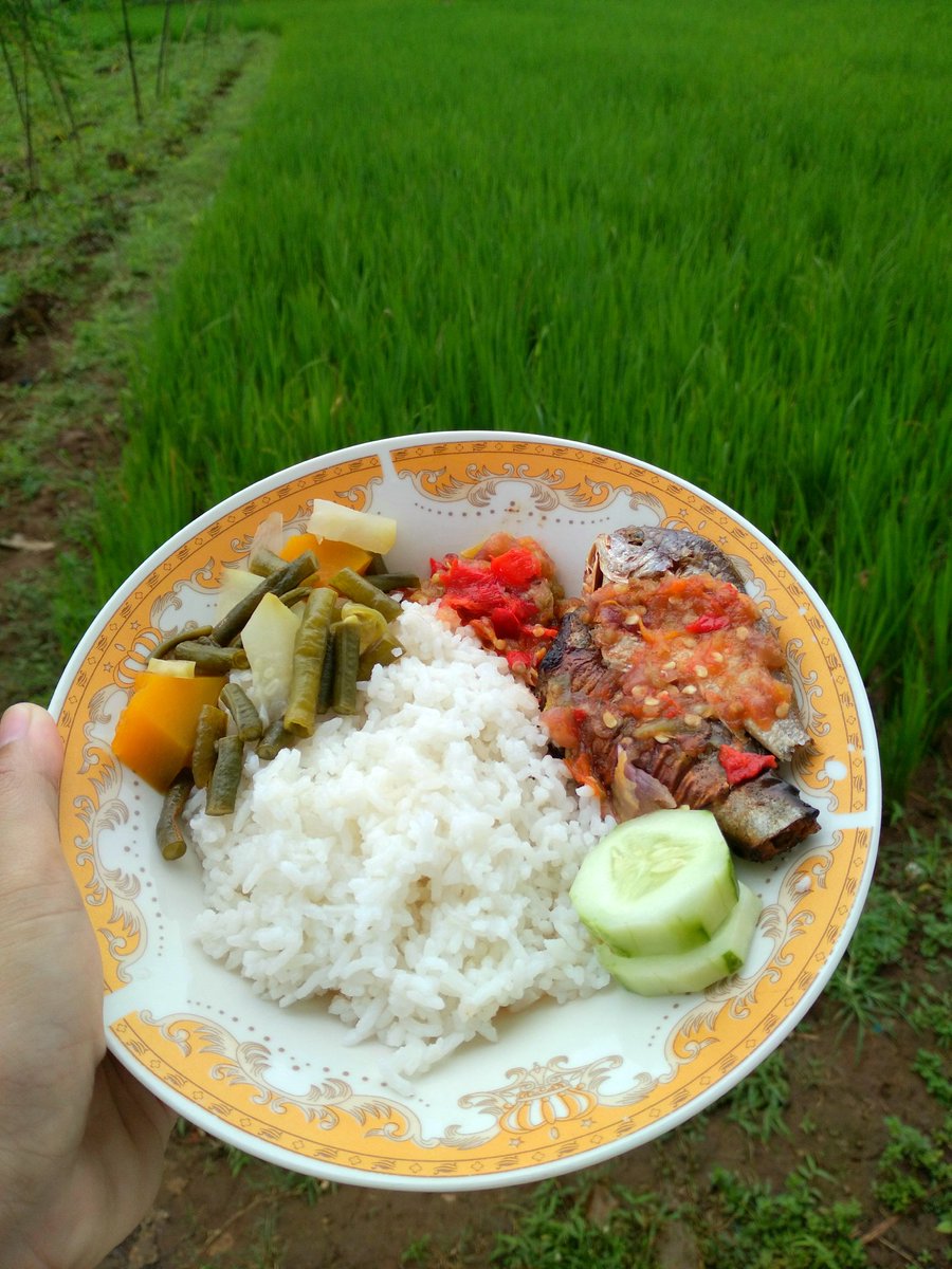 اميره نبيلة خير tweet media