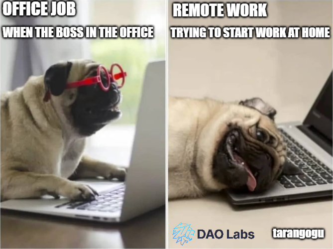 Bitcoinfanaticc's tweet photo. ☑️Here is my job for #DAOVERSE 2023 Week Meme Championship Round 04 / #OfficeVsRemote. I hope you like it.
⚡️Start #SocialMining by joining the next round and earn #busd
@TheDAOLabs #DAOLabs $LABOR #ETH ⤵️ https://t.co/7p1LBIw470