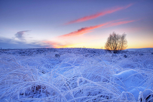 outotec's tweet photo. Blue Frost, West Yorkshire, England #BlueFrost #WestYorkshire #England https://t.co/XtayEcJ8fH https://t.co/uRqvZYfmaD
