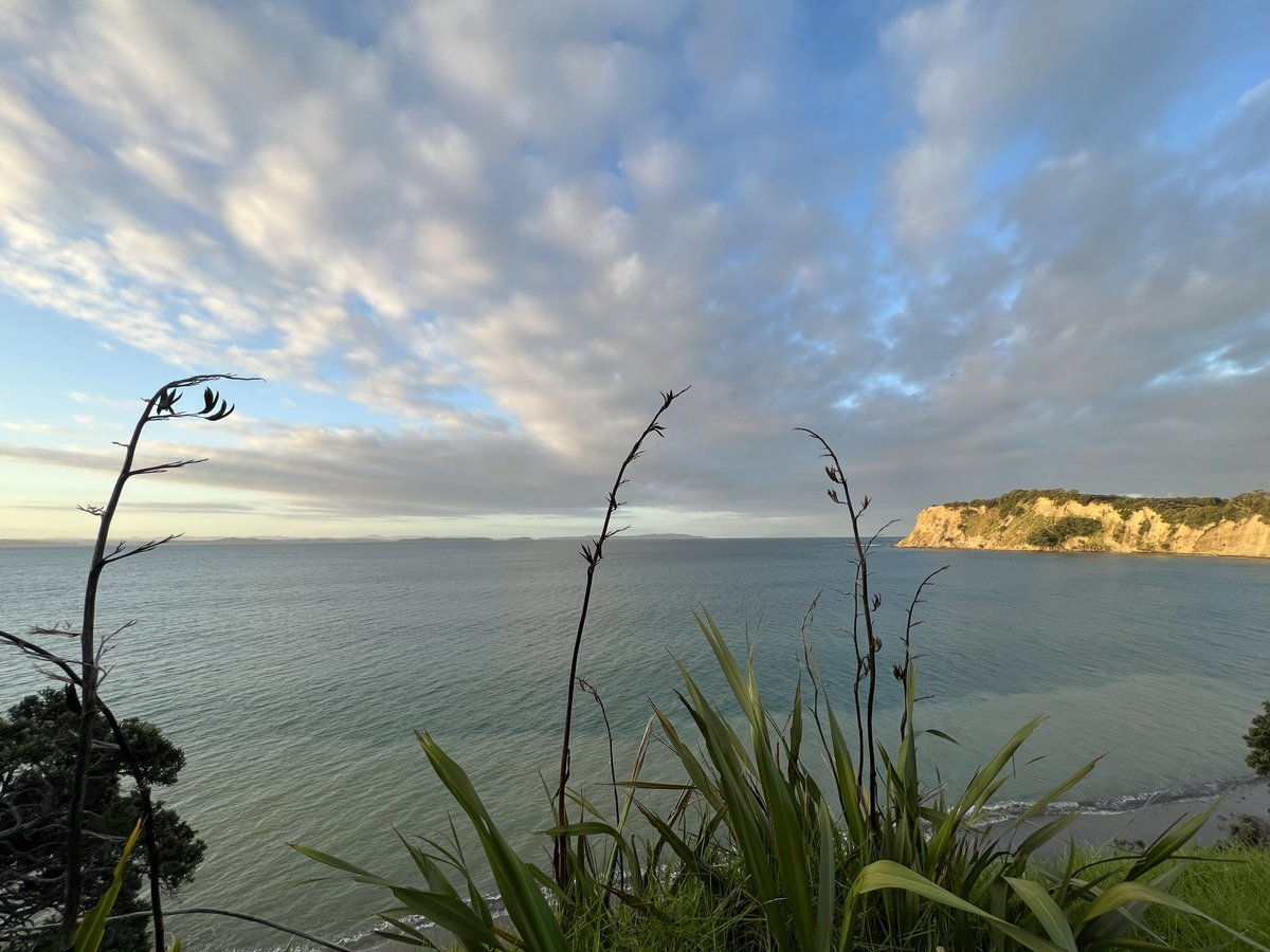 Sunday Evening walk …. #Armybay #hibiscuscoast #NewZealand #daysend #naturecolours #oceanview #clouds 👌😎🇳🇿❤️