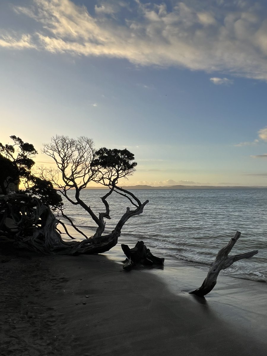 followspen's tweet photo. #sungoingdown #sundayeveningfeels #clouds #NatureBeauty #Armybay #hibiscuscoast #NewZealand 👌😎🇳🇿❤️ https://t.co/igRyFDdCuA