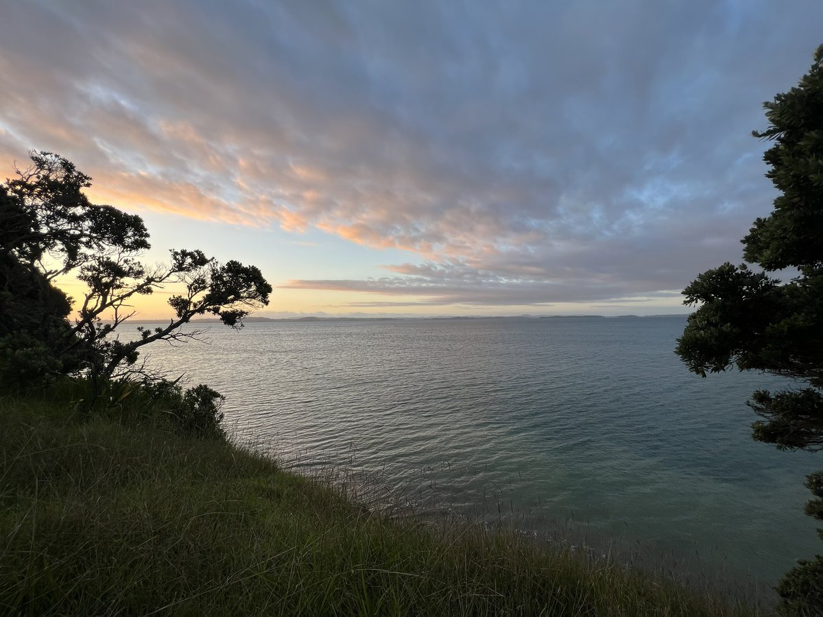 followspen's tweet photo. #sungoingdown #sundayeveningfeels #clouds #NatureBeauty #Armybay #hibiscuscoast #NewZealand 👌😎🇳🇿❤️ https://t.co/igRyFDdCuA