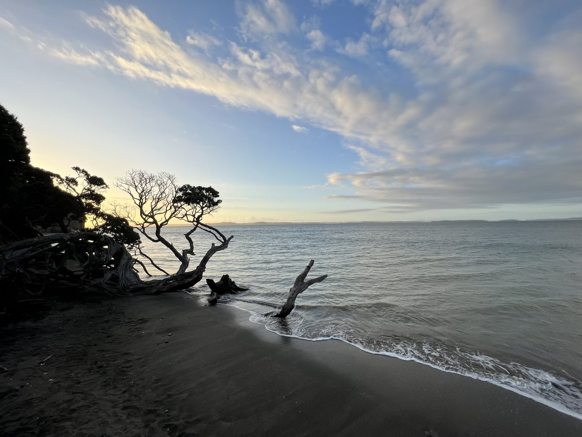 followspen's tweet photo. #sungoingdown #sundayeveningfeels #clouds #NatureBeauty #Armybay #hibiscuscoast #NewZealand 👌😎🇳🇿❤️ https://t.co/igRyFDdCuA