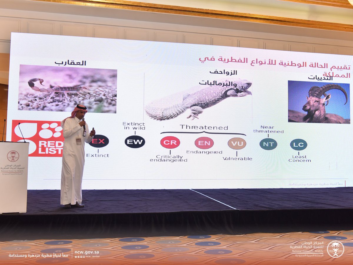 NCW_center's tweet photo. "ندوة تعزيز الشراكات للمحافظة على الحياة الفطرية" 
د. عبدالمانع القحطاني: المسوحات الحقلية وأنشطة مراكز الإكثار تسهم في بناء القاعدة المعرفية للحياة الفطرية في المملكة.

#اليوم_العالمي_للحياة_الفطرية
#WWD2023 https://t.co/ESitt3JA05