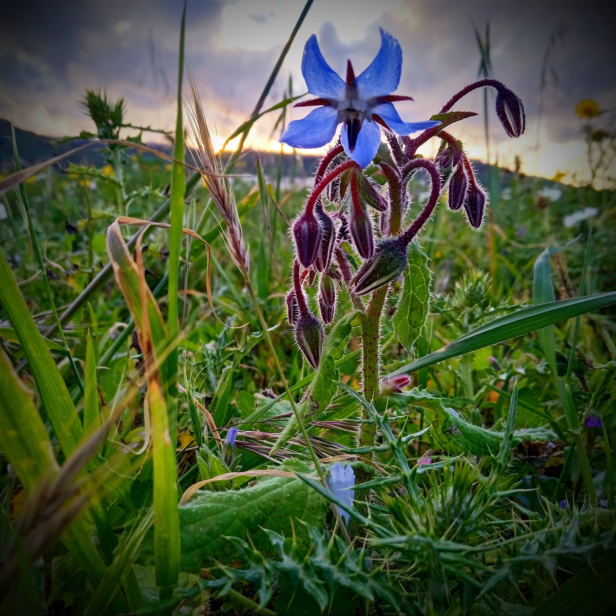 Unitzeronetwo's tweet photo. #NatureBeauty #NaturePhotography #hikingadventures https://t.co/Eb8o1LY0rT